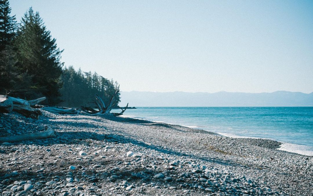 Dicta quia iste ducimus inventore