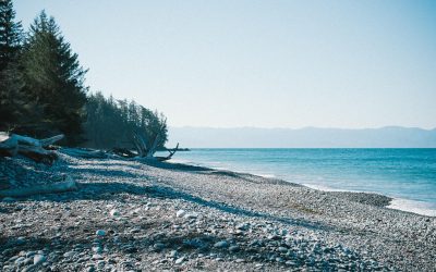 Dicta quia iste ducimus inventore