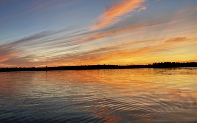 Exploring Kinmount, Ontario: Tips for Choosing the Perfect Accommodation